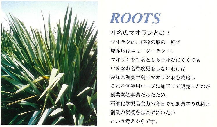 マオランの説明