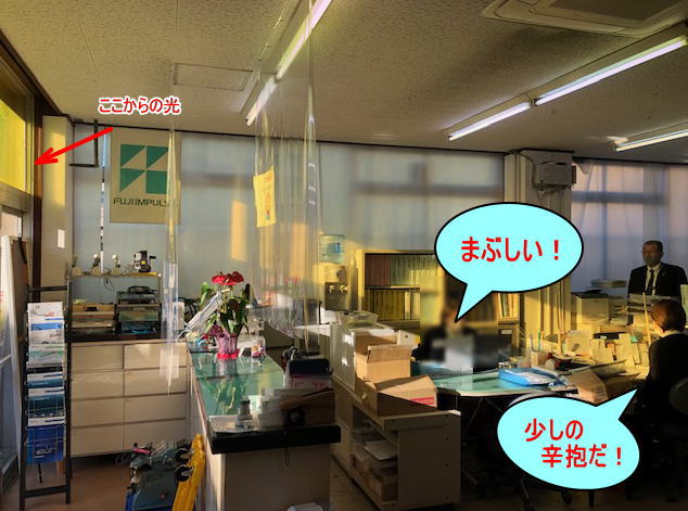 朝日にまぶしく困っている様子