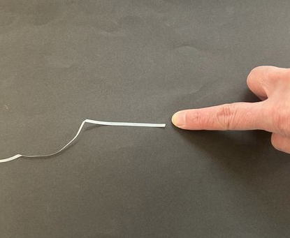 指と比べてみましょう