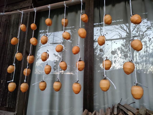 軒先につるしてある柿