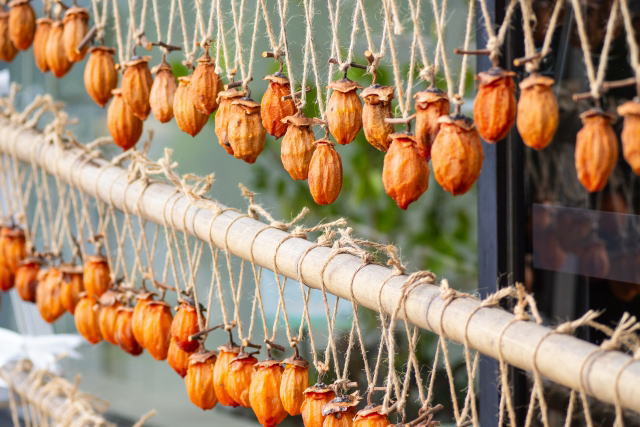 麻紐でつるしてある柿