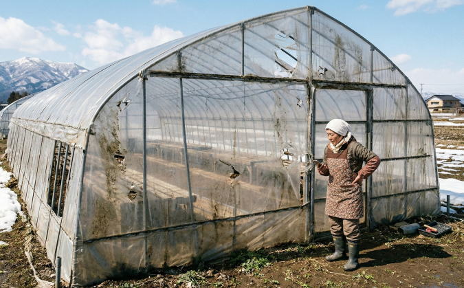 雪解けにハウスが痛んでいる様子
