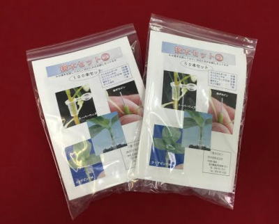 接ぎ木お試しセット②
