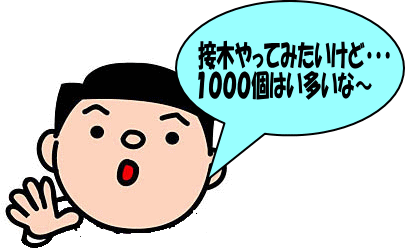 初心者様が数が多いと言っているイラストです