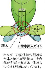 ウリ科ホルダーMの形状