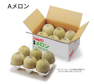 縦置きのメロン6個入りの見本画像です
