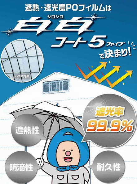 白白コートのカタログ写真