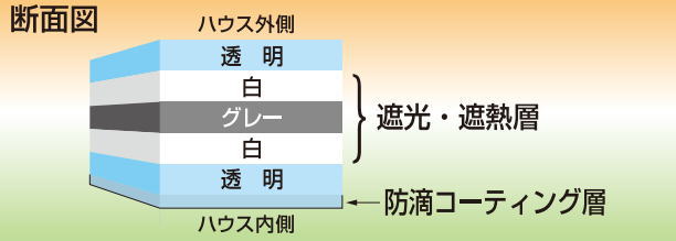 白白コートの5層構造